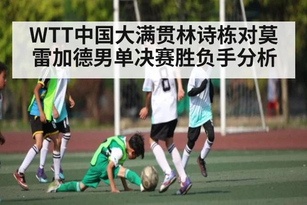 WTT中国大满贯林诗栋对莫雷加德男单决赛胜负手分析 - ng28.h5